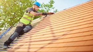 Best Roof Maintenance and Cleaning  in Palmetto Bay, FL